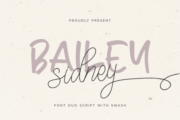 Boost Your Campaign with the Bailey Sidney Font
