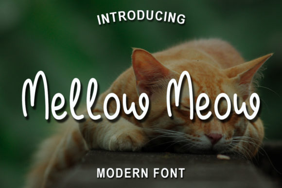 How Mellow Meow Elevates Campaign Design with a Touch of Elegance