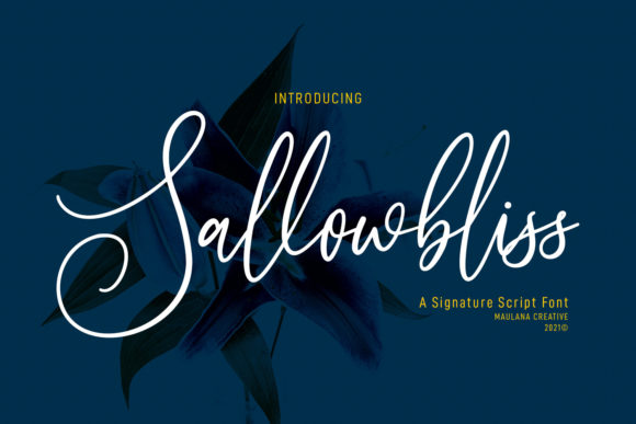 How Sallowbliss Elevated My Brand’s Visual Identity