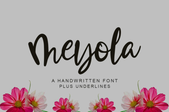 Meyola: A Magical Script Font for Campaign Creatives