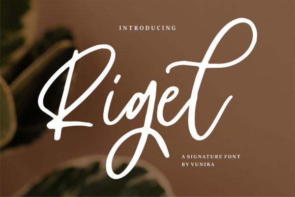 Rigel Font for Branding Projects