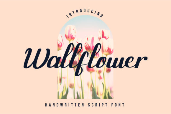 Wallflower: A Simple Font That Transformed My Brand’s Look